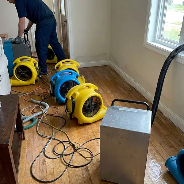 Water Mitigation Services in Miramar, FL