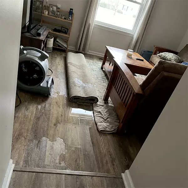 Water Restoration in Miramar, FL