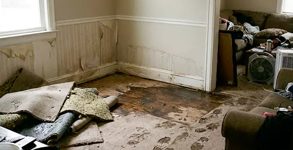 Why Choose Miramar Water Damage Restoration For Water Damage Restoration Services in Miramar, FL?