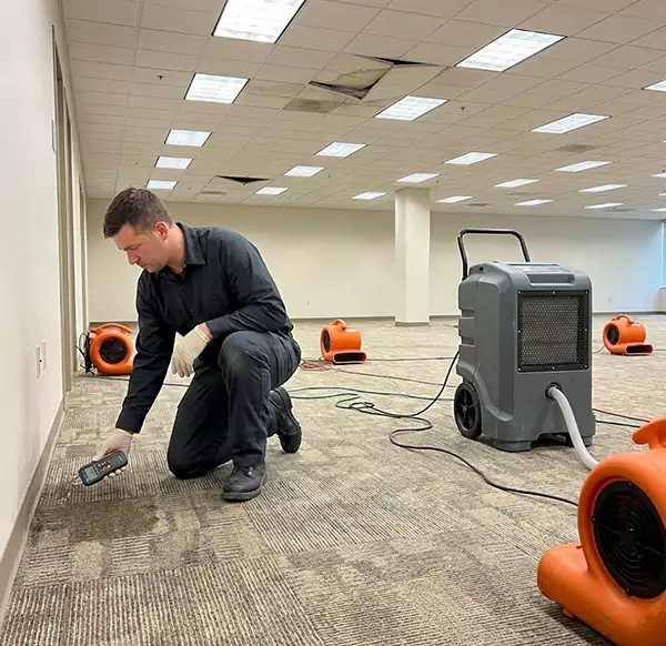 Why Businesses Choose Miramar Water Damage Restoration for Commercial Water Damage in Miramar, FL?